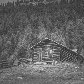 wooden log house